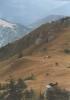 nizketatry117